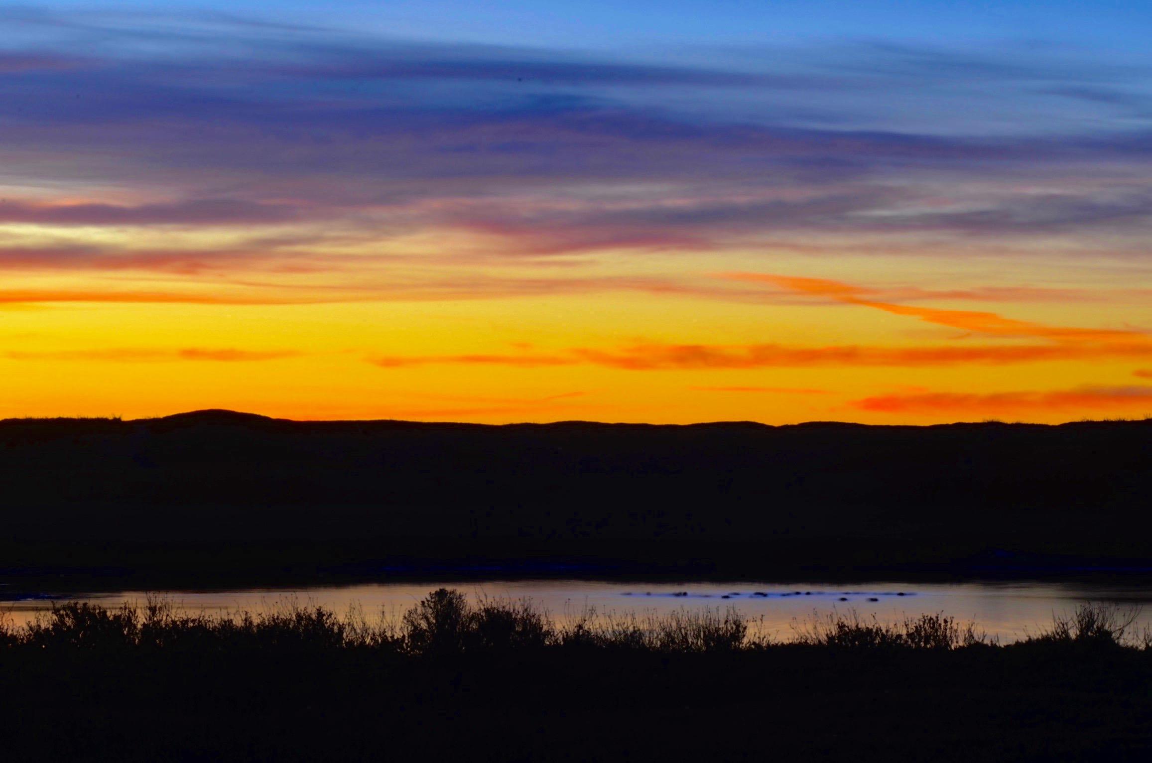 elkhorn slough sunset